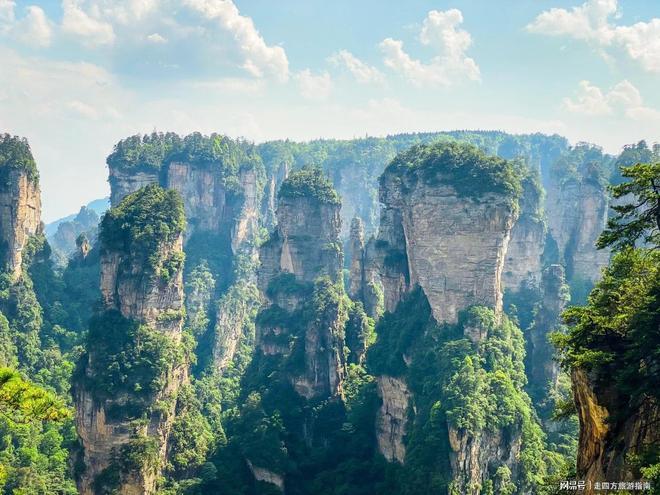 年团5天4晚行程景点+本地人推荐安排开元棋牌app张家界旅游攻略：暑假老(图5)