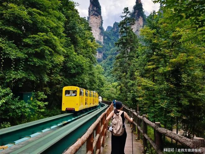 年团5天4晚行程景点+本地人推荐安排开元棋牌app张家界旅游攻略：暑假老(图2)