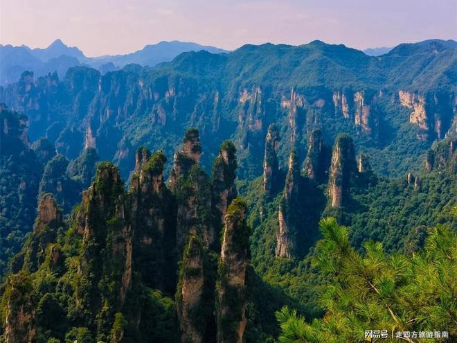 年团5天4晚行程景点+本地人推荐安排开元棋牌app张家界旅游攻略：暑假老(图7)