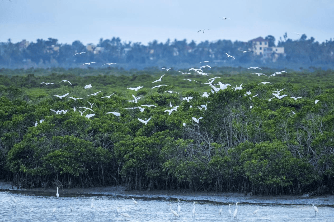 海N种可能！定制你的专属海岛时光开元棋牌10大主题线路解锁海南玩(图2)