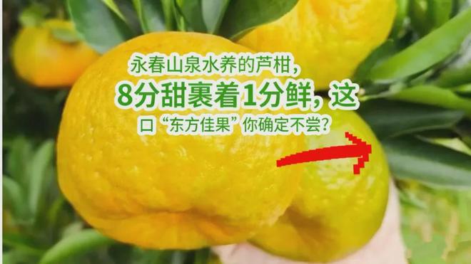 ！用脚步解锁“功夫永春”→开元棋牌985公里徒步永春(图3)